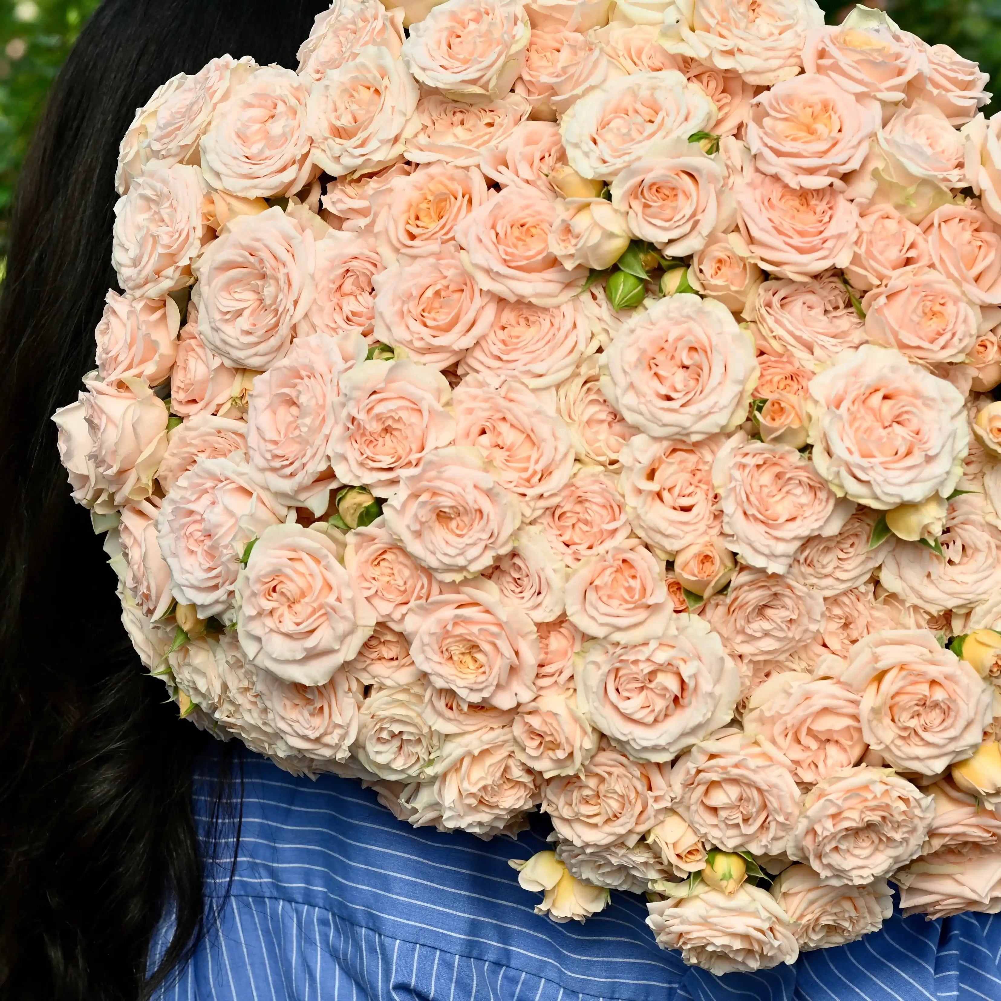 Shocking Veil™ – April & Ashley