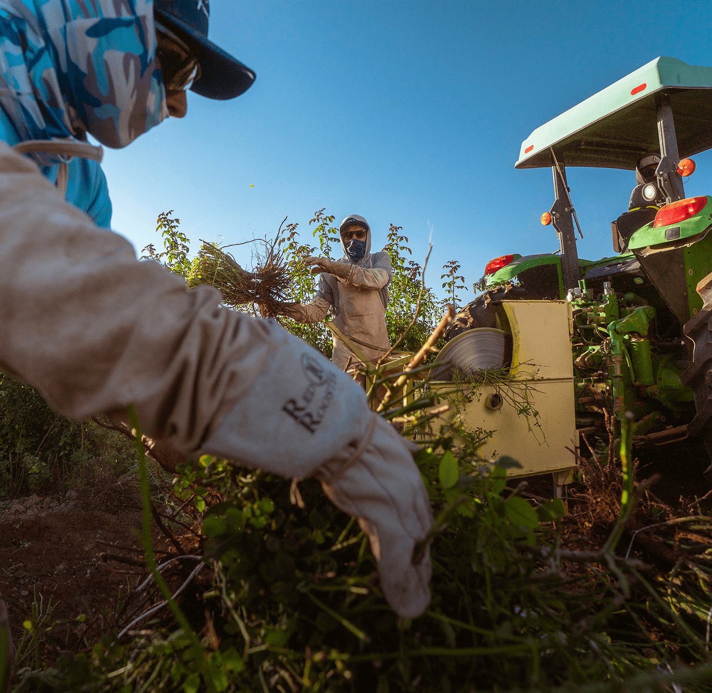 Artistry with integrity