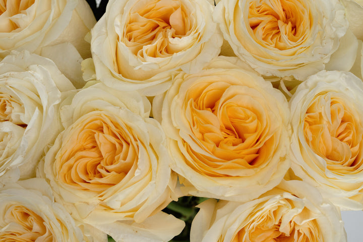 Buttercup Bouquets