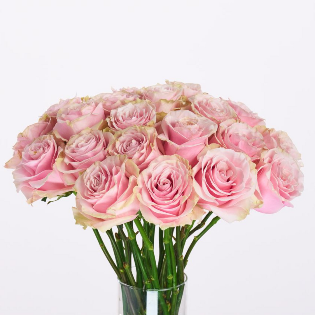Pink Mondial®