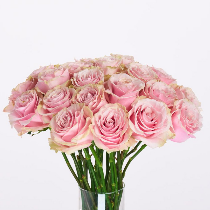 Pink Mondial®