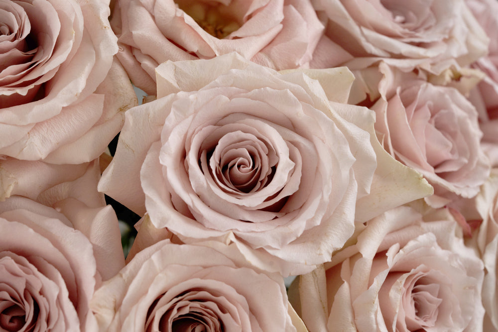 Quicksand Bouquets Lifestyle