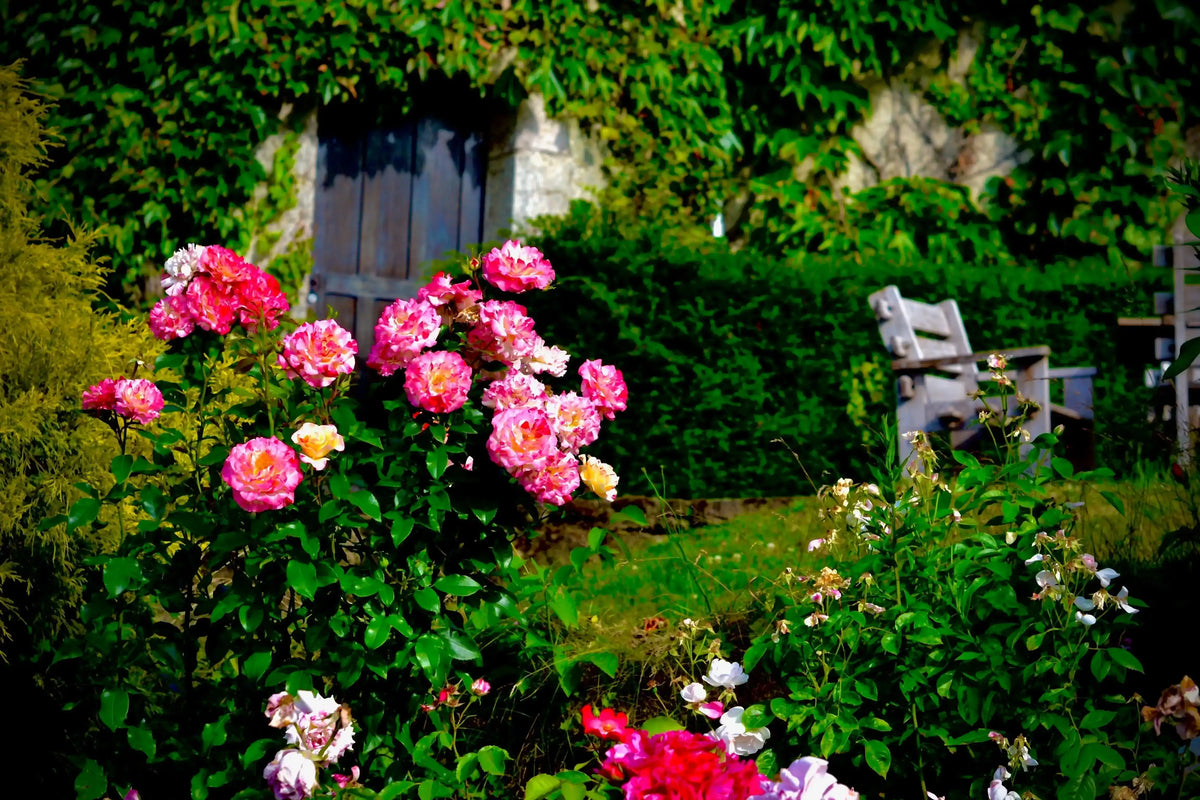 Spring Roses Outdoor How to Plan Your Dream Spring Rose Garden | April & Ashley