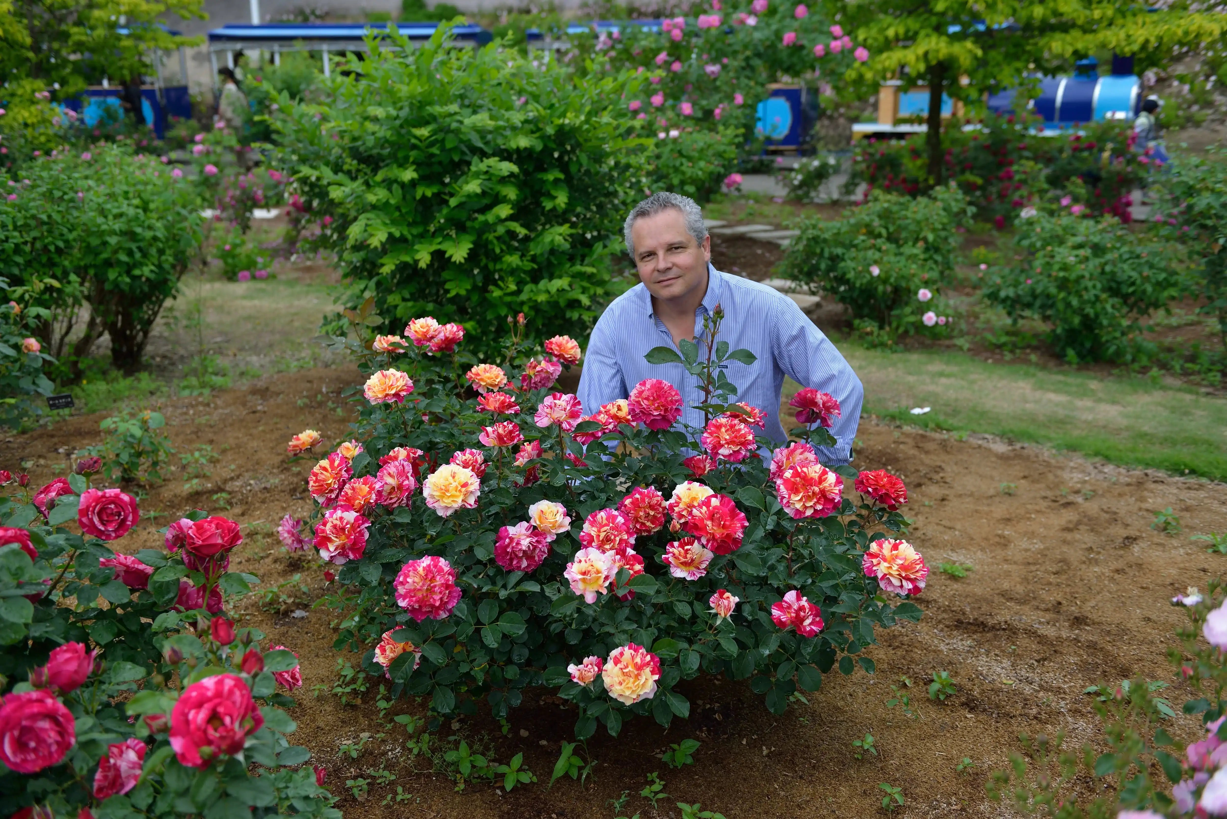 5 Growing Techniques for Rose Gardens