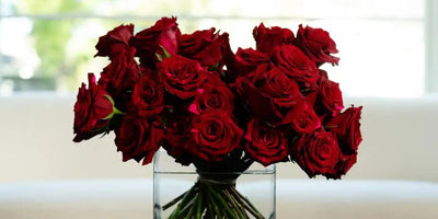 14 Fun & Interesting Facts About Roses You Probably Didn't Know