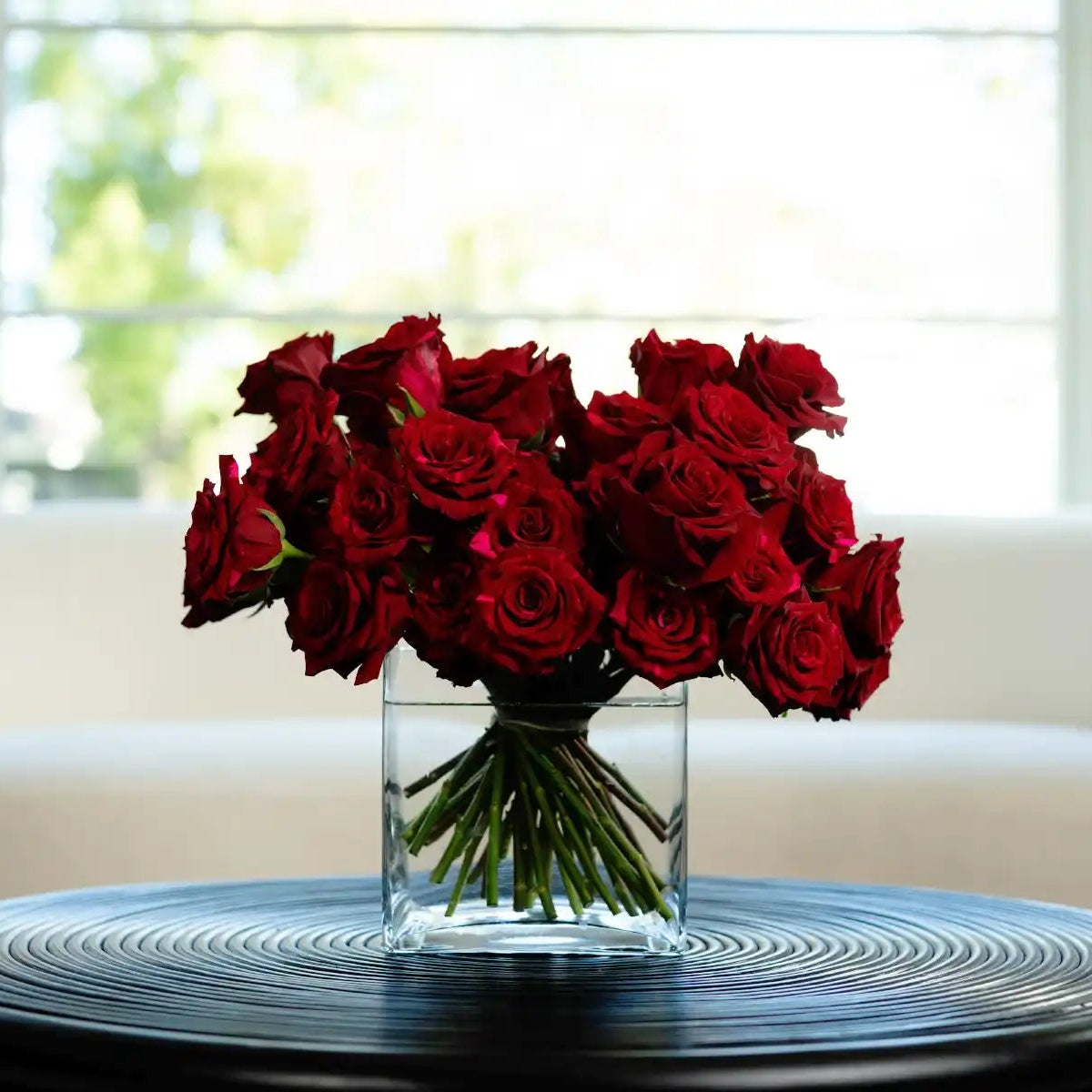 14 Fun & Interesting Facts About Roses You Probably Didn't Know