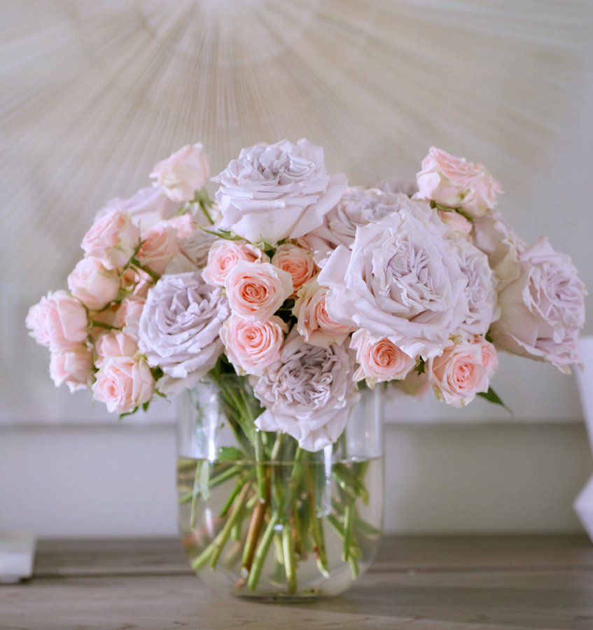 Spring Rose Care: This Season’s Guide to Beautiful Blooms | April & Ashley