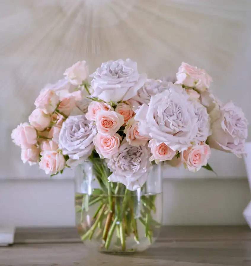 Freshly Bloomer Spring Roses Spring Rose Care: Your Guide to Beautiful Blooms | April & Ashley