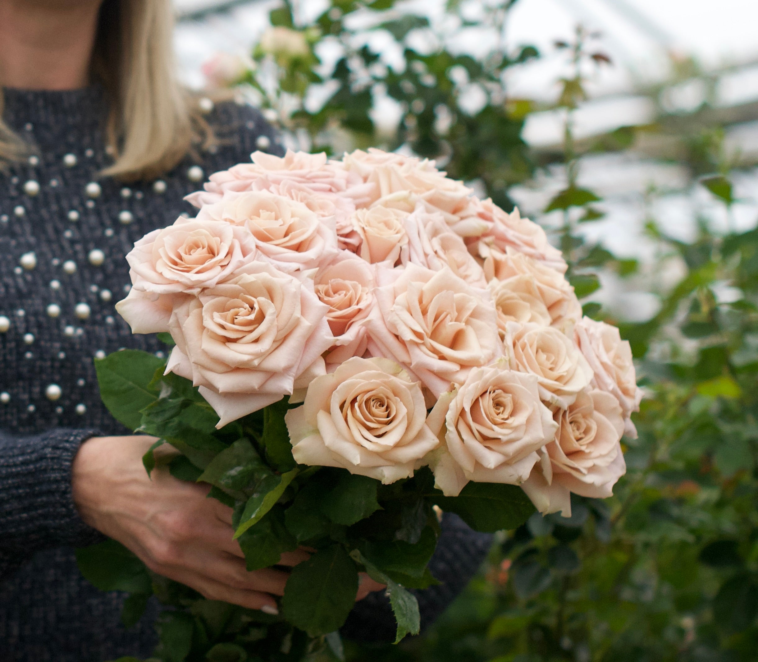 ROSE❣️ Quicksand® Pastel Pink & Soft Lavendar Rose | April & Ashley