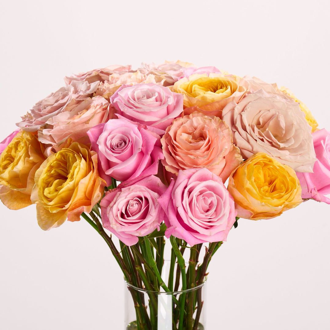 Bouquet of colorful roses in a clear vase on a light background