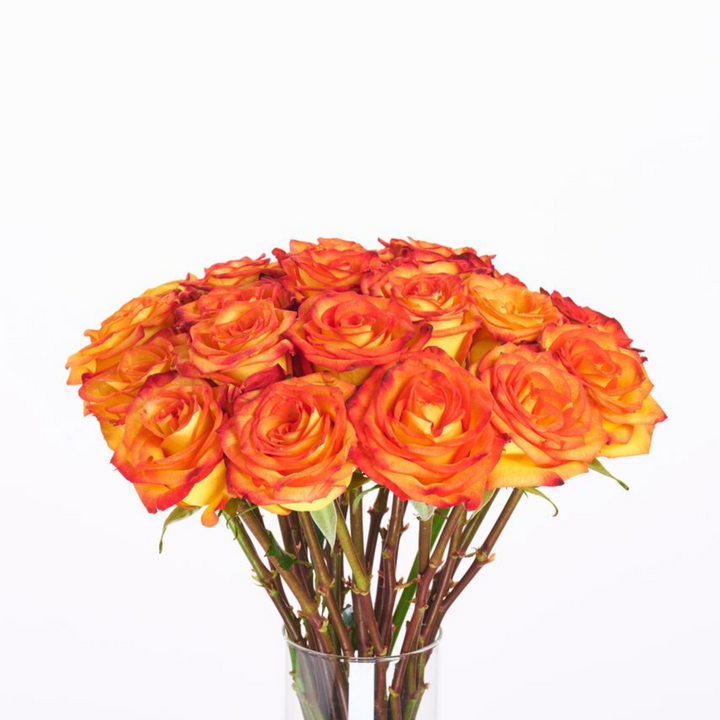 Bouquet of orange roses in a clear vase on a white background