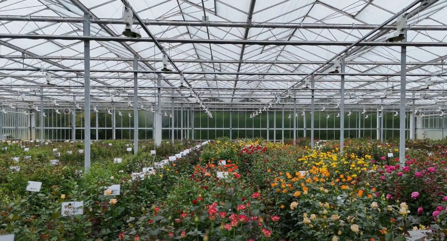 Interplant Greenhouse