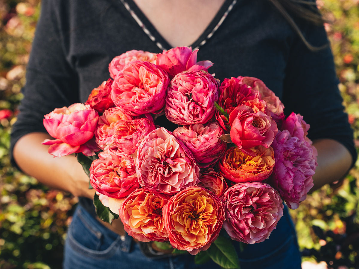 Kensington Gardens!™ – April & Ashley