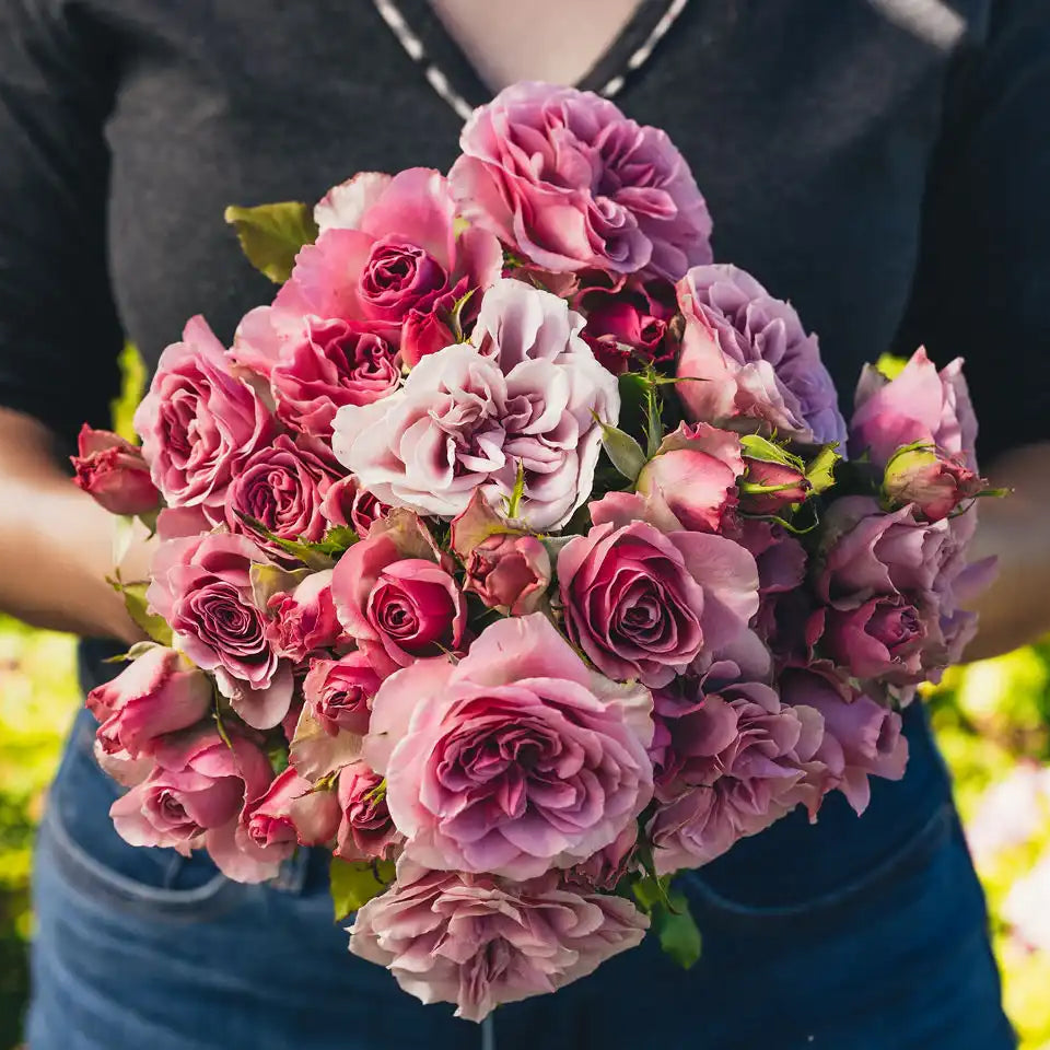 Montmartre™ – April & Ashley