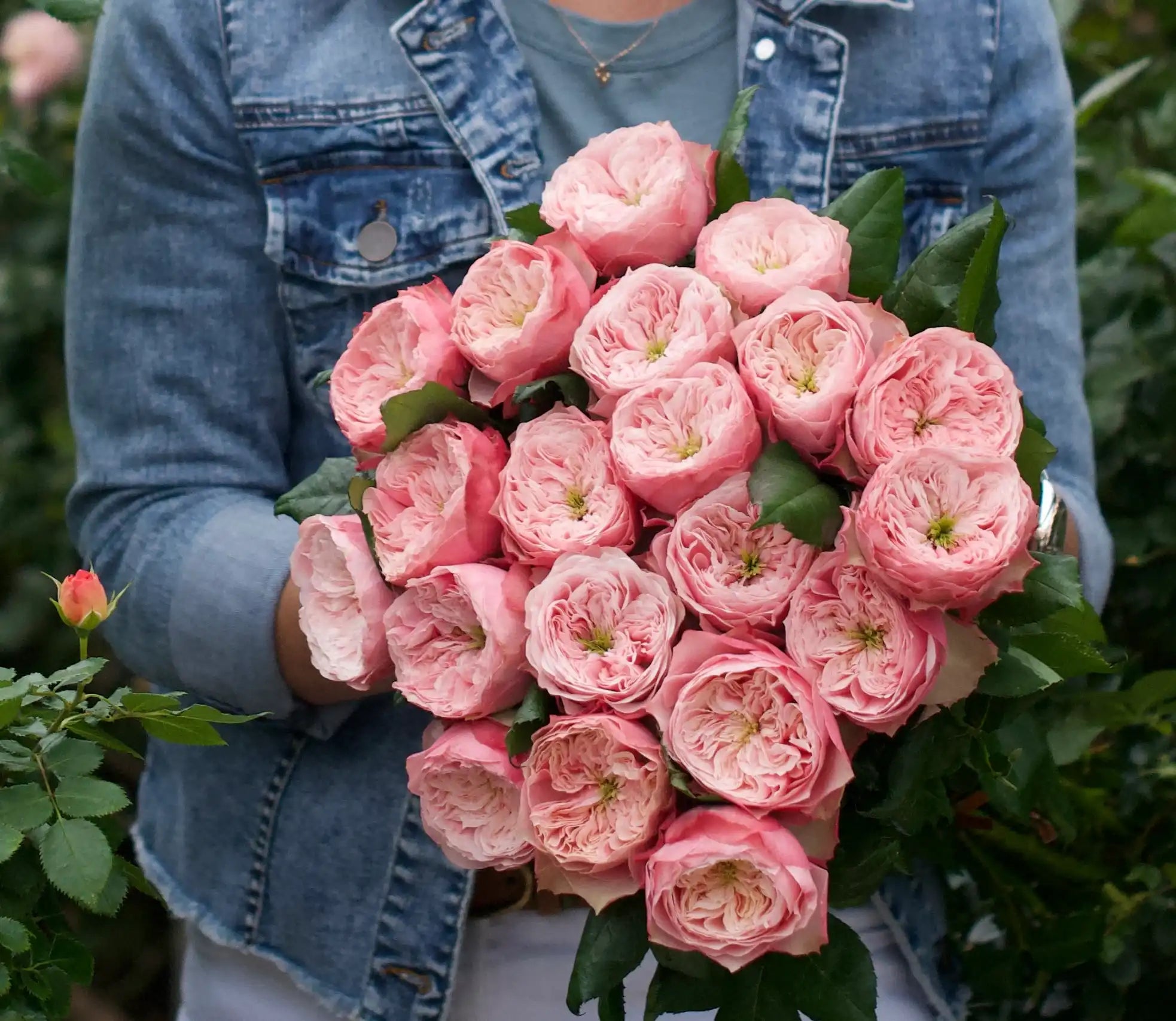 Forever Parasol™ Radiant Pink Rose | April & Ashley