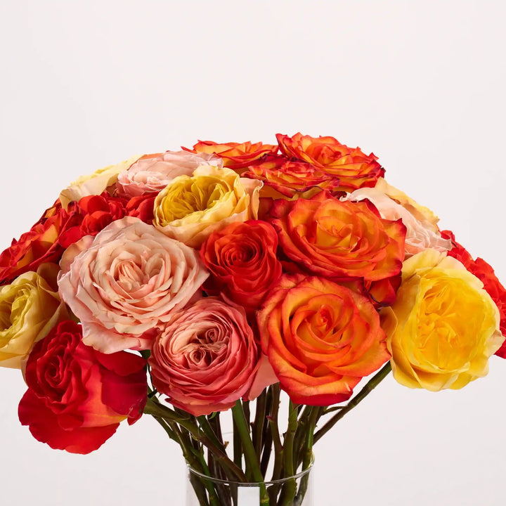 Bouquet of multicolored roses in a clear vase on a light background