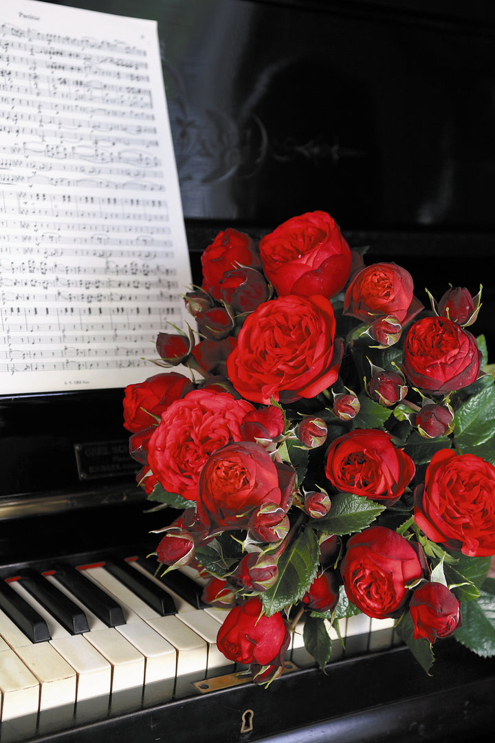 Piano™