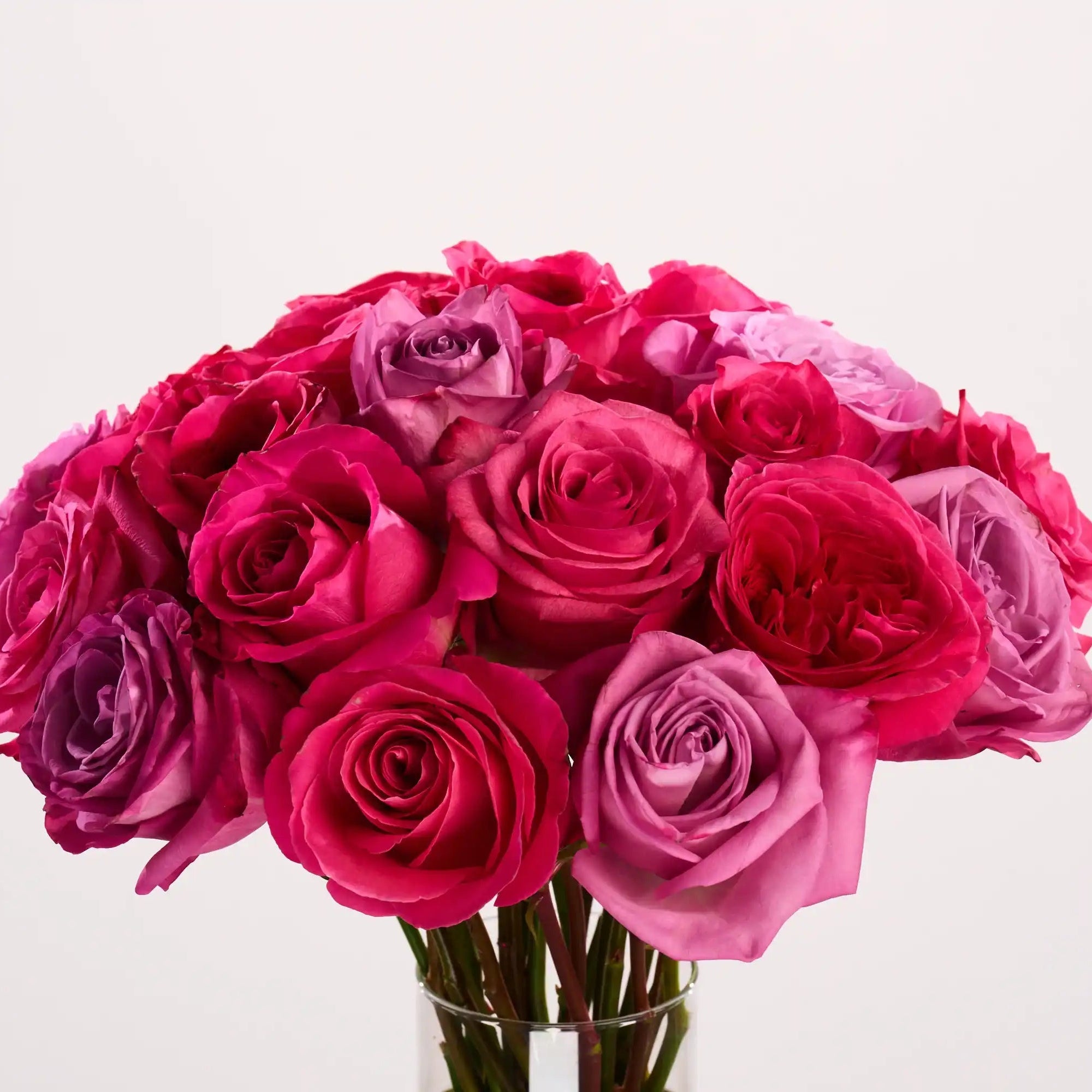 Raspberry Crush – April & Ashley