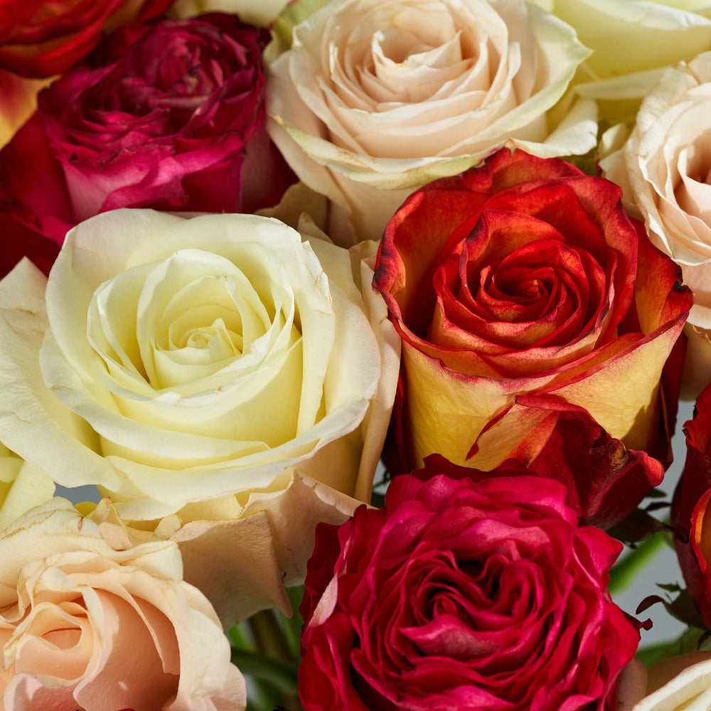 Close-up of a bouquet of colorful roses including red, yellow, and pink.