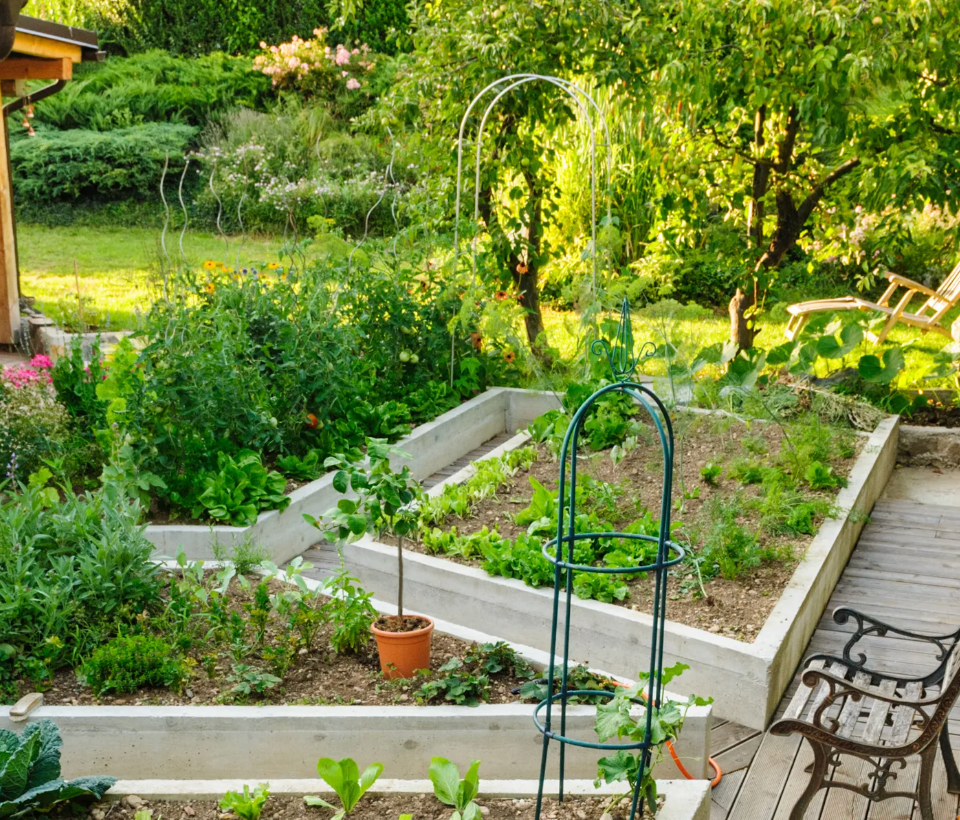 Backyard with gardening area