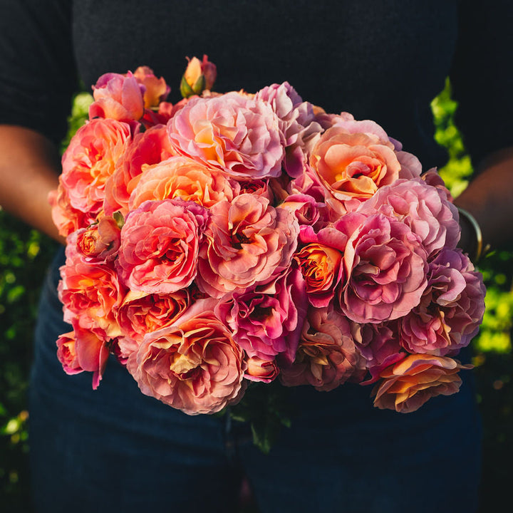 Person holding a bouquet of pink and orange flowers against a blurred green background