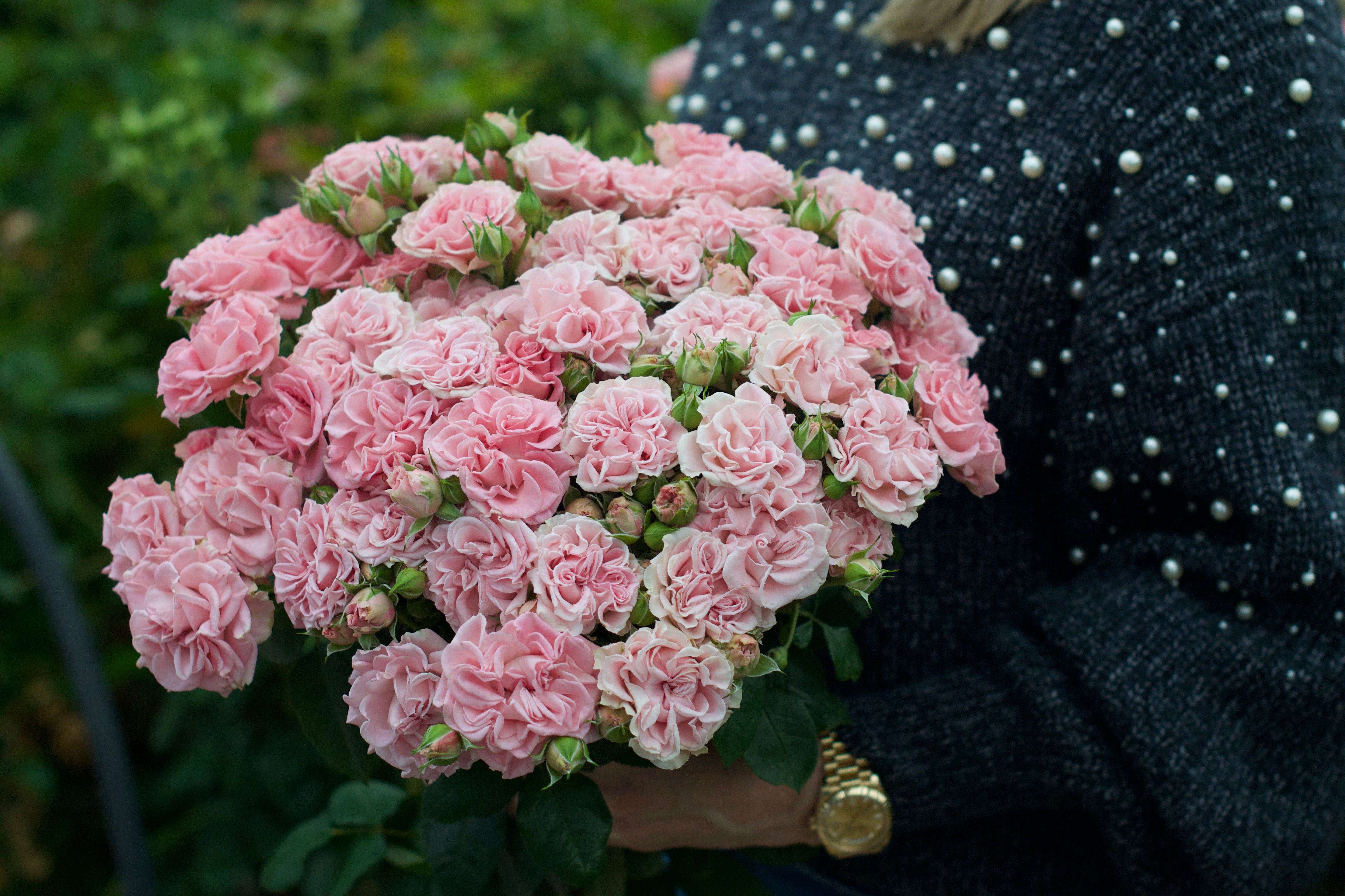 ROSE BUD 2017 PRE SPRING カタログ　森星 ROSE BUD 2017 PRE SPRING カタログ 森星 Sweet Drift® - Star