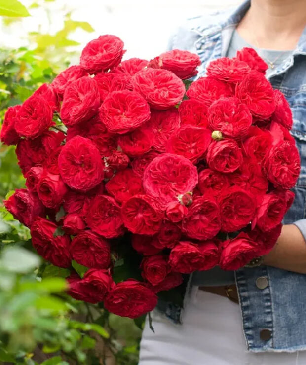 The Quick ‘N Easy Guide For A Perfect Mother’s Day!