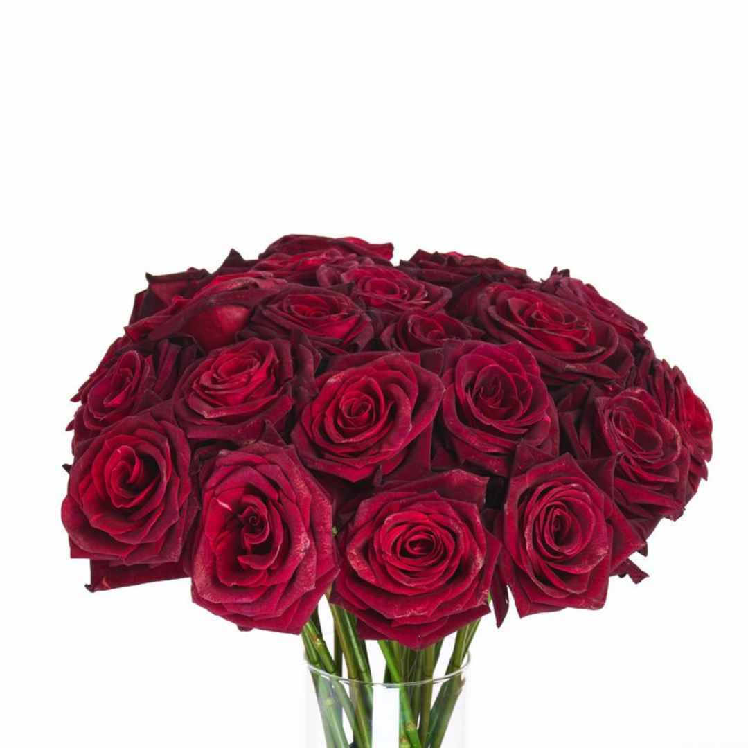 Bouquet of red roses in a clear vase on a white background