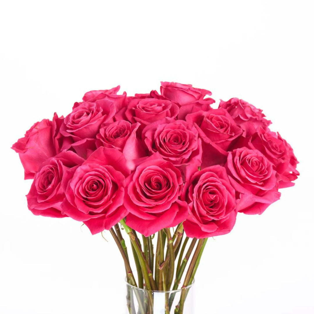 Bouquet of bright pink roses in a clear vase on a white background