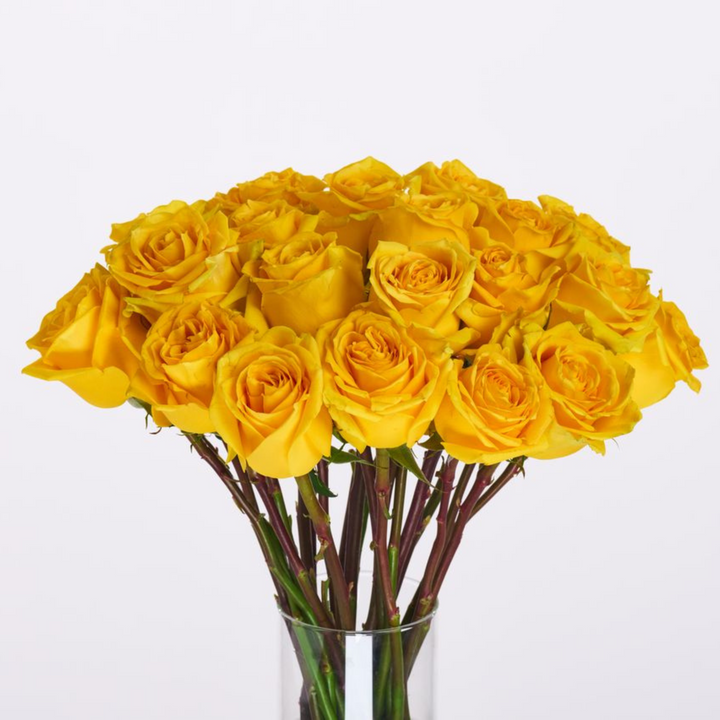 Bouquet of yellow roses in a clear vase on a light gray background