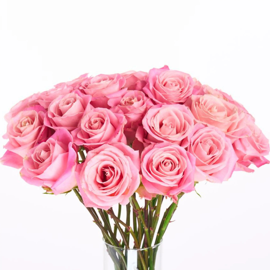 Bouquet of pink roses in a clear vase on a white background