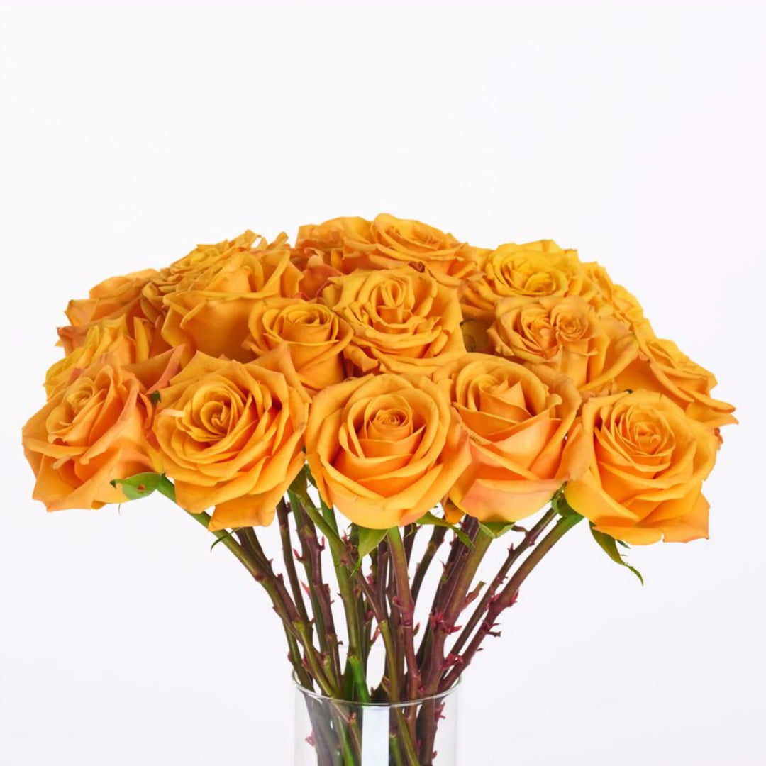Bouquet of yellow roses in a clear vase on a white background