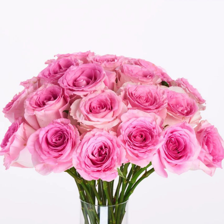Bouquet of pink roses in a clear vase on a white background