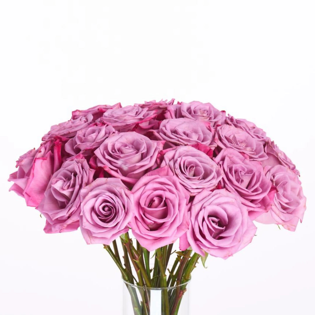 Bouquet of pink roses in a clear vase on a white background