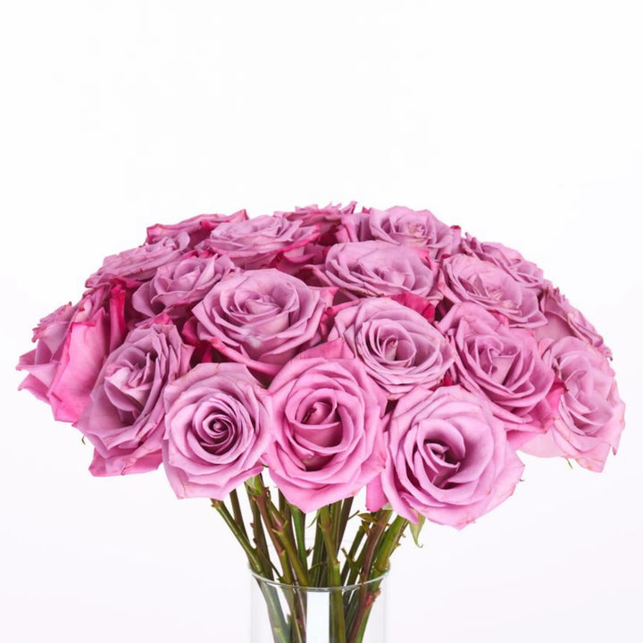 Bouquet of pink roses in a clear vase on a white background