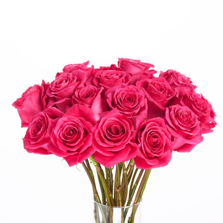 Bouquet of bright pink roses in a clear vase on a white background