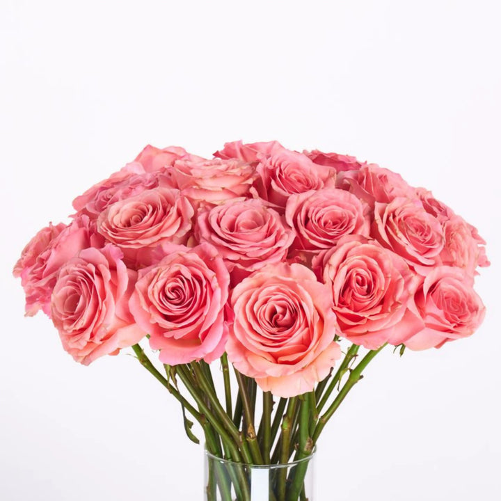 Bouquet of pink roses in a clear vase on a white background