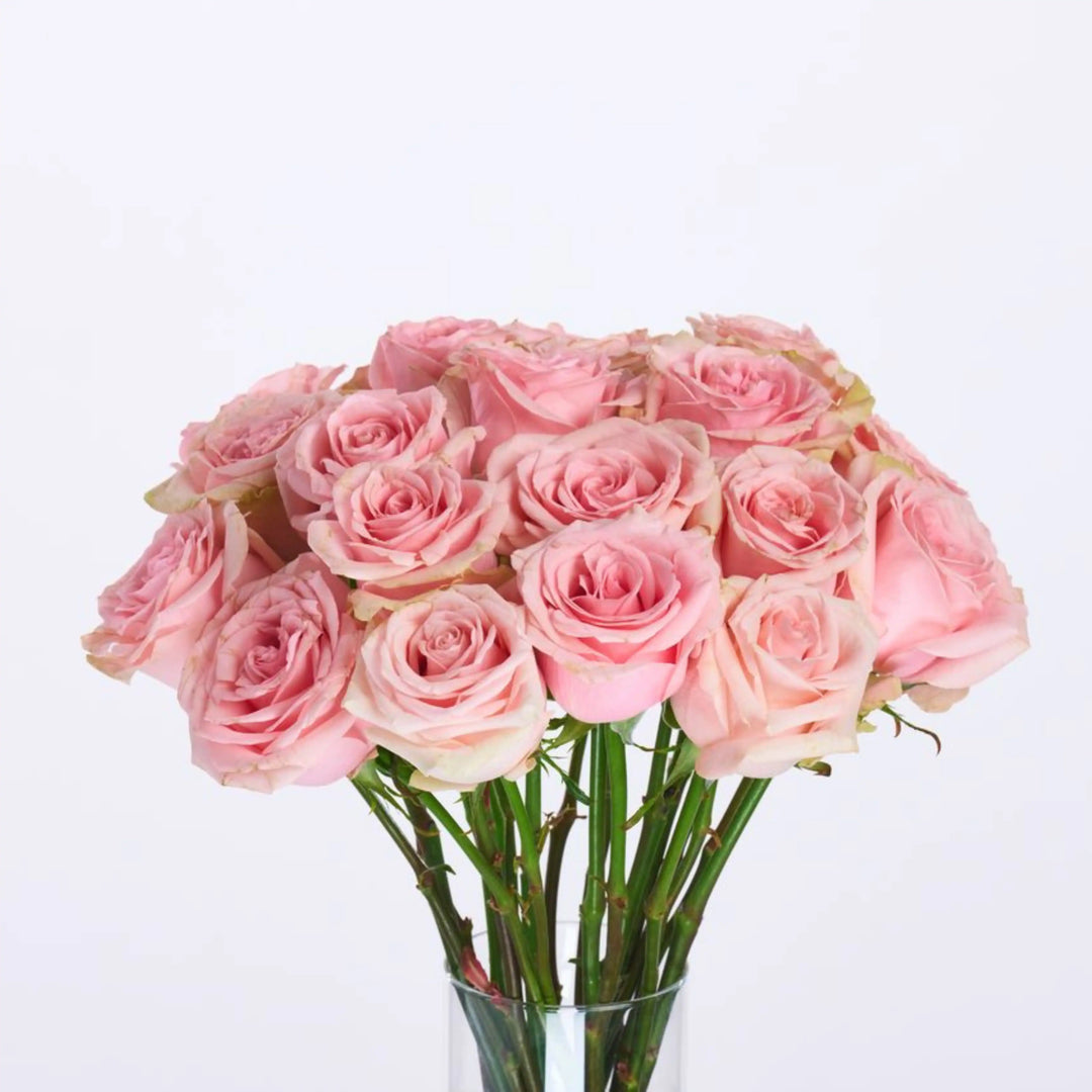 Bouquet of pink roses in a clear vase on a light purple background