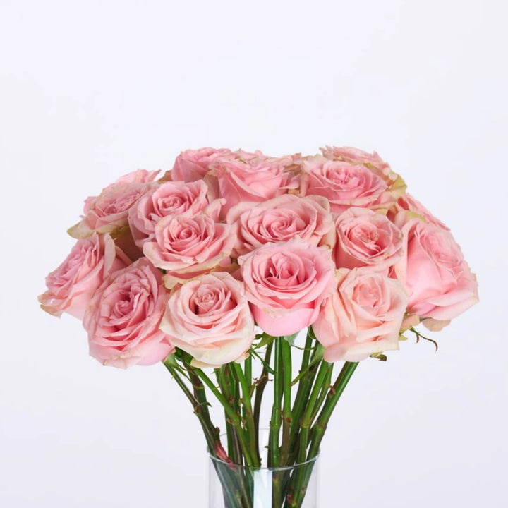 Bouquet of pink roses in a clear vase on a light purple background