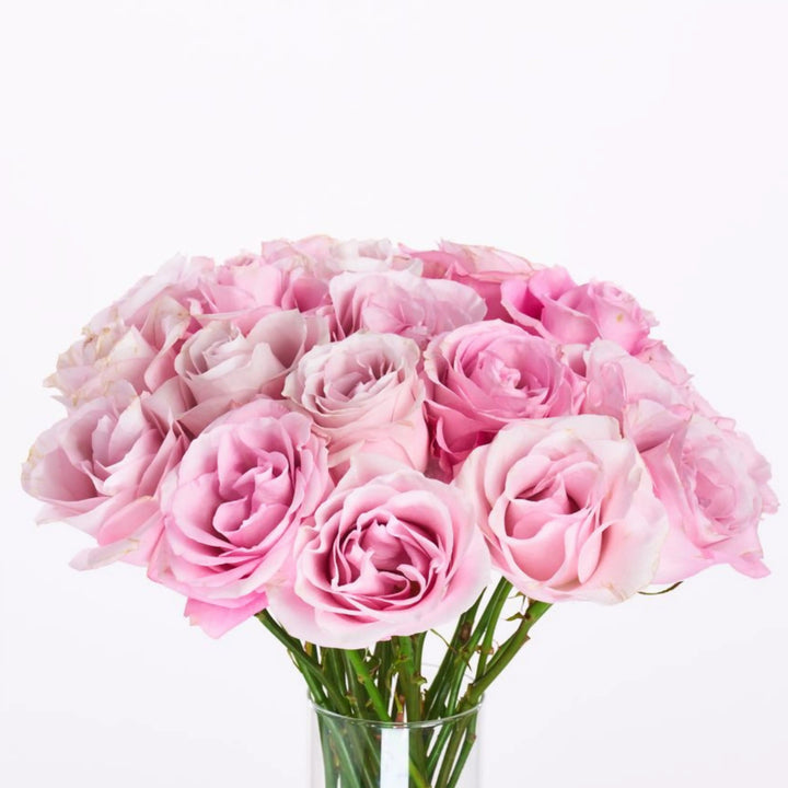 Bouquet of pink roses in a clear vase on a white background