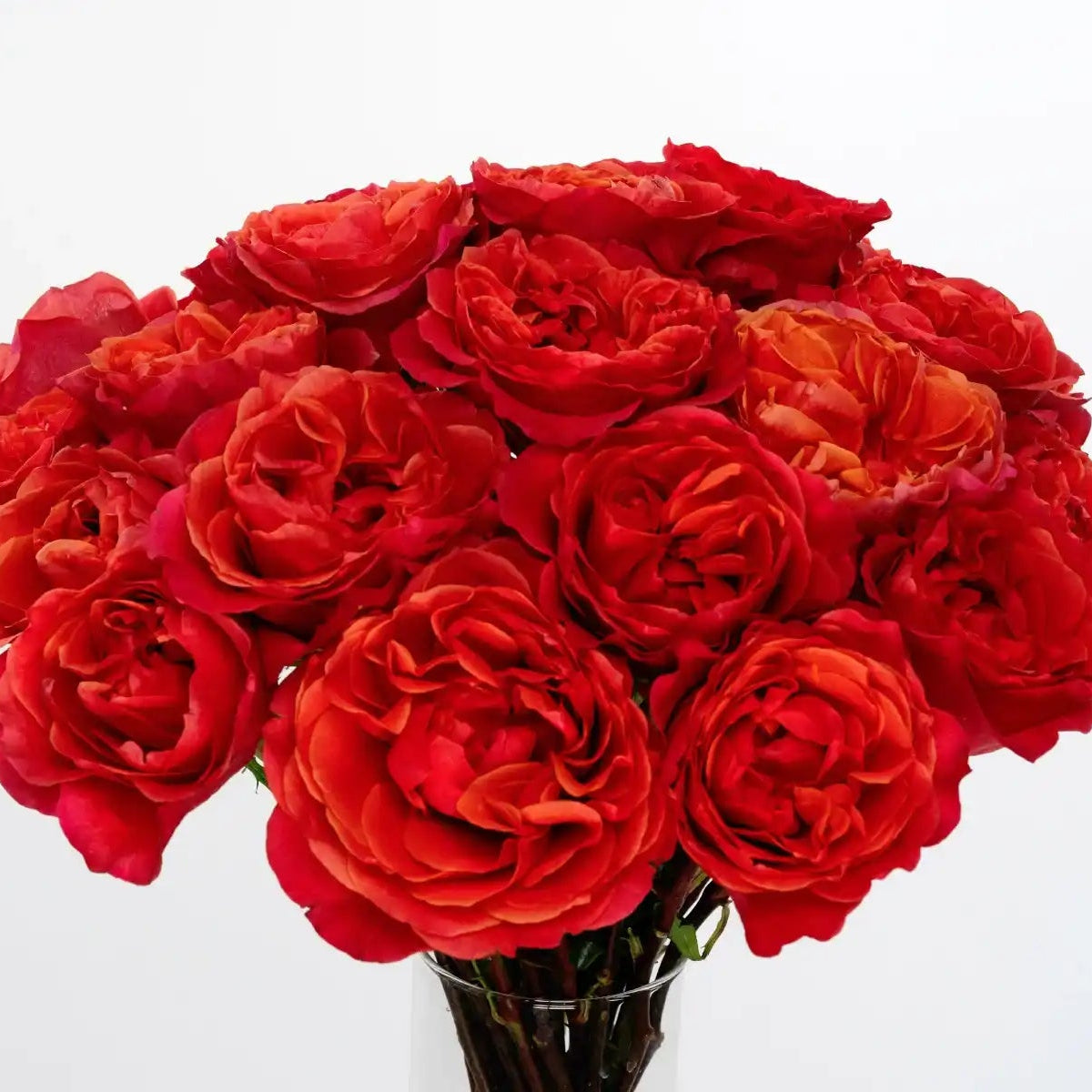 Dark X-pression™ Rose Bouquet | April & Ashley