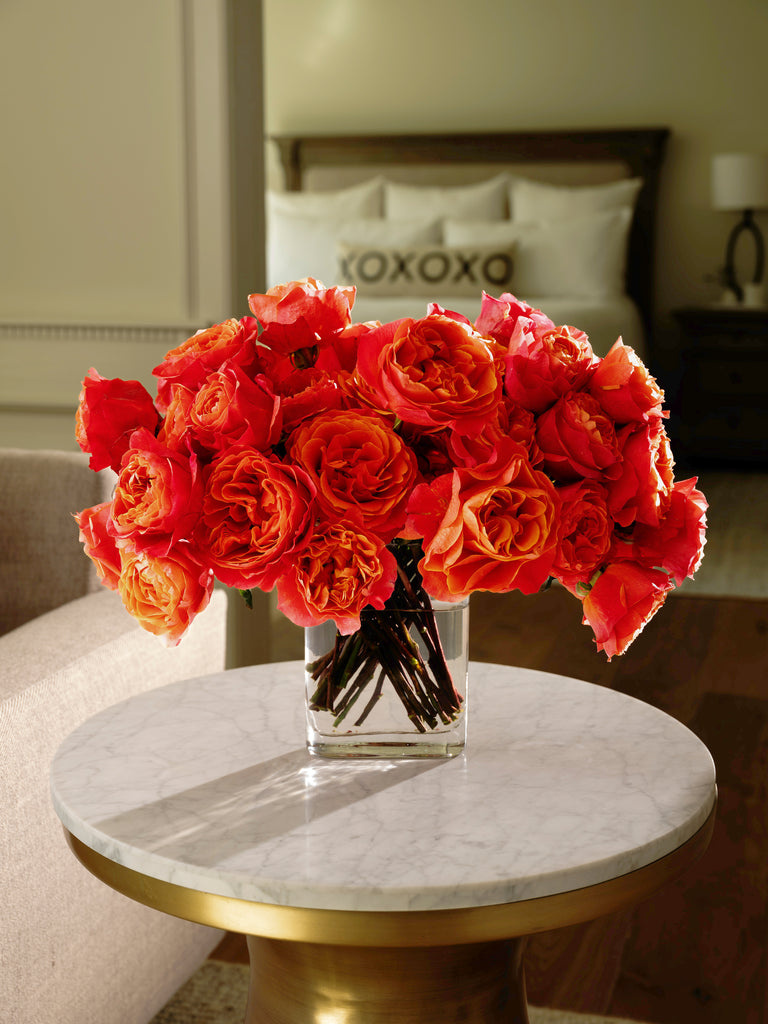 Arabella and Rose（タグあり） Dark X-pression™ – April & Ashley