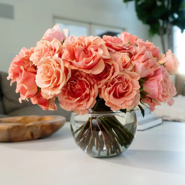 Phoenix™ Peach-Pink Rose | April & Ashley
