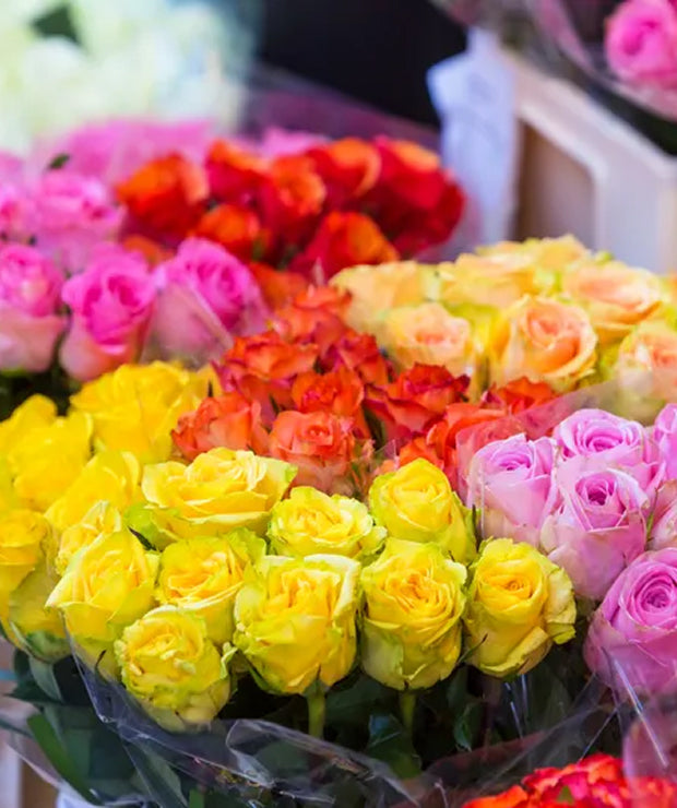 Don’t Send Roses Without Knowing What Each Color Means