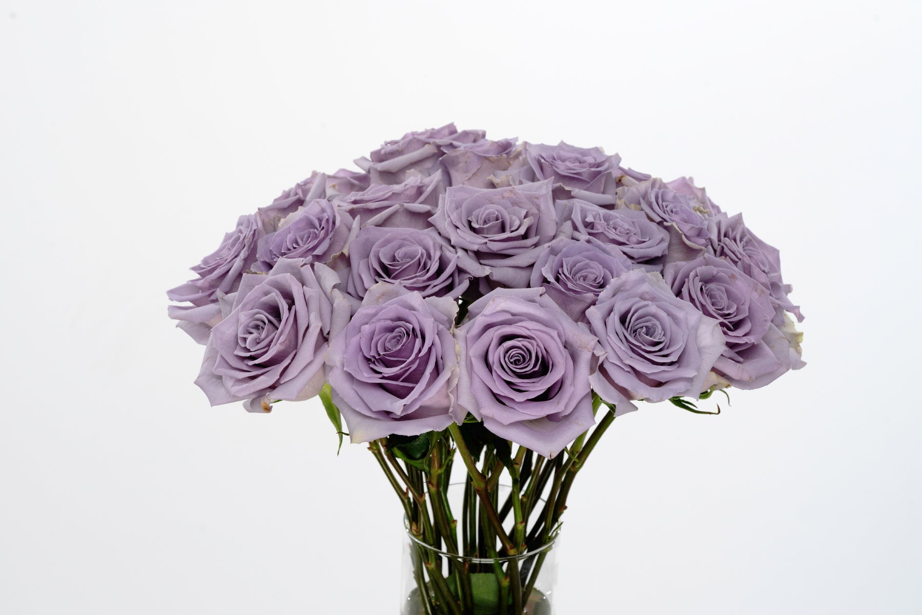 Rose216ライトブルーxs Dusky French Blue Long Stem 21 inches Roses Real Touch Silk