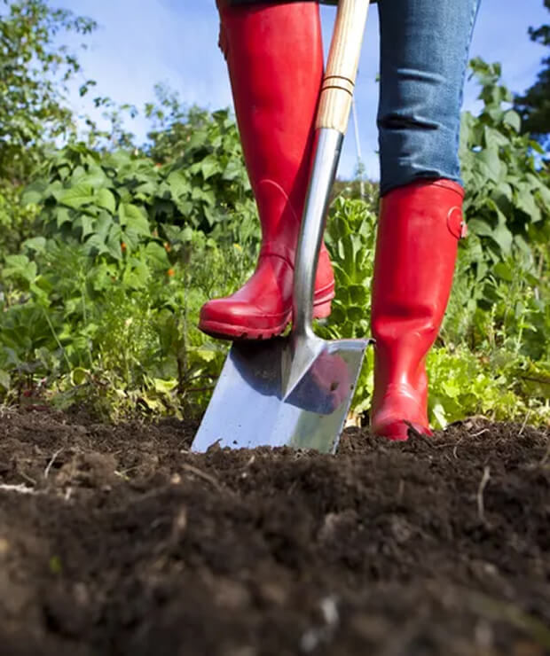 Topsoil Is Essential for Healthy Plants—Here's 3 Ways to Use It in Your Garden